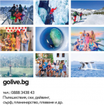 Golive.png