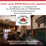 Stek_house.png