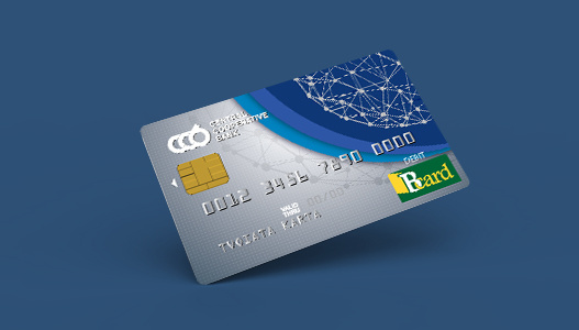 Национална дебитна карта Bcard